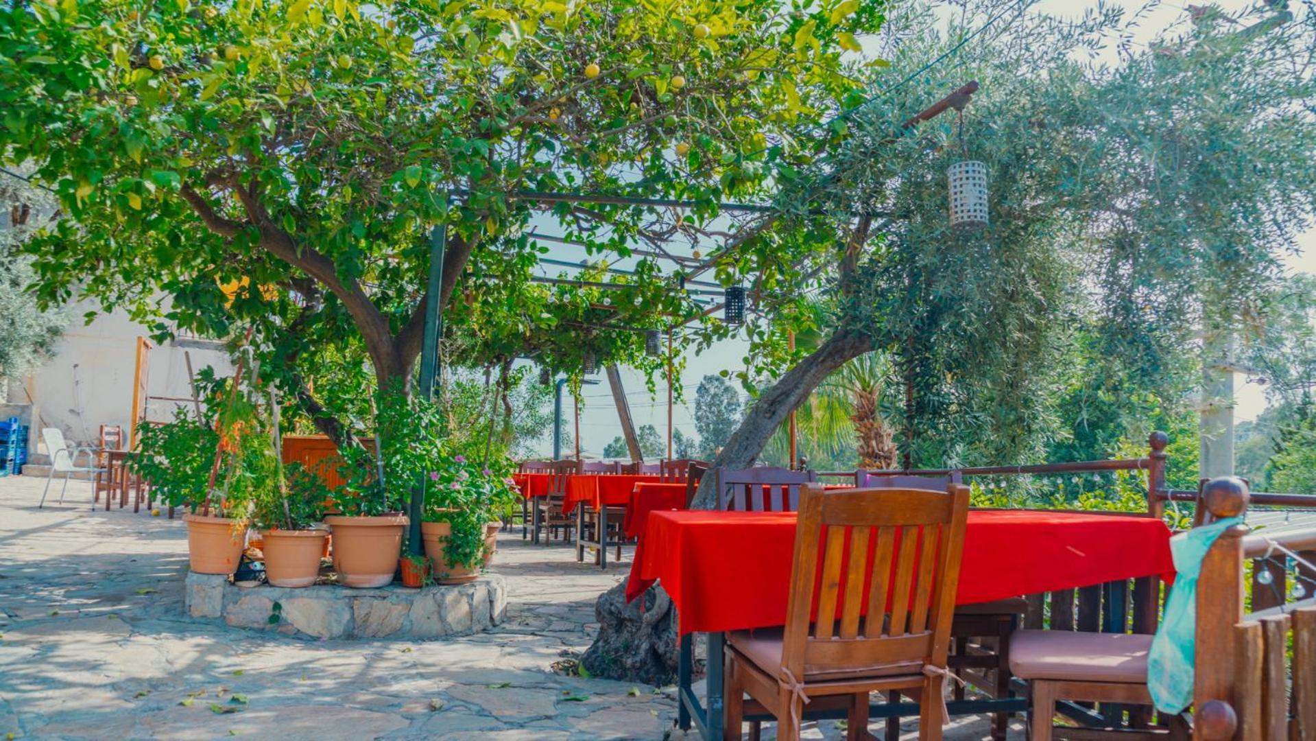 St. Nicholas Pension Patara Kültér fotó